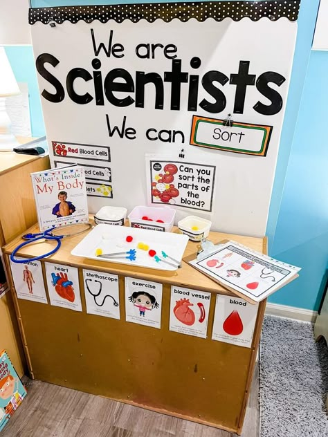 Preschool Science Area, Science Provocations, Science Area Preschool, Tk Classroom, Science Center Preschool, Investigation Area, Pre-k Science, Science Area, Classroom Arrangement