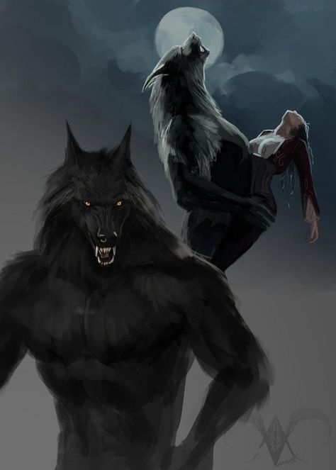 Van Helsing Werewolf, Anime Werewolf, Werewolf Drawing, Regard Animal, Alpha Werewolf, Werewolf Aesthetic, Wolf Artwork, Werewolf Art, Vampires And Werewolves