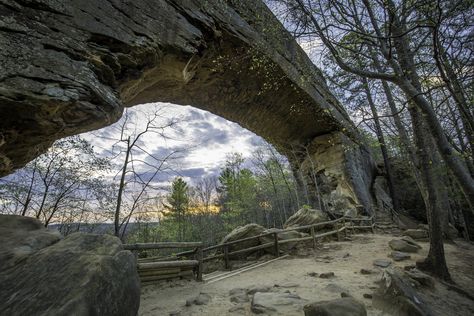 A Weekend in Kentucky's Red River Gorge Kentucky Hiking, Red River Gorge Kentucky, Kentucky Vacation, Kentucky Travel, Sky Bridge, Red River Gorge, Natural Bridge, Road Trippin, Red River