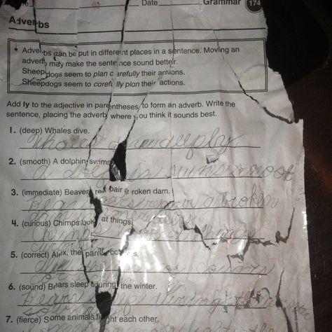 The dog ate my homework Dog Ate My Homework, Dog Eating, Homework, Sheet Music, Writing, How To Plan