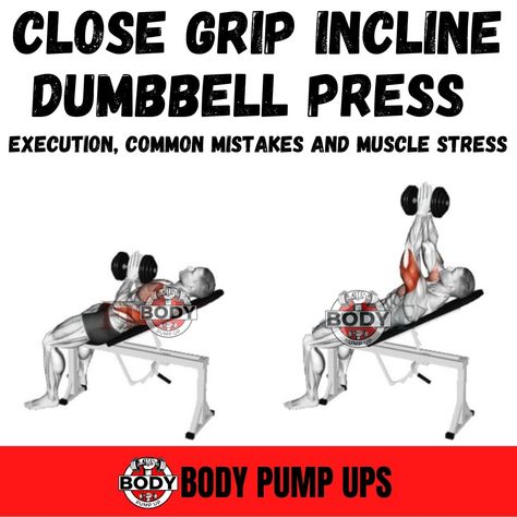 Chest Close Dumbbell Hammer Press

The close-grip dumbbell bench press is a popular variation of the dumbbell bench press. To execute it, the starting position of your dumbbells should be closer than shoulder width. This targets the triceps and the inner chest. This exercise is performed with lower reps to gain more strength or with higher reps for more muscle growth.

#Fitness #workout #workoutathome #chestpumps #chestexercises #chest #chestworkouts #dumbbellworkout #Db #dumbbellexercises #dumb Hammer Press, Dumbbell Bench Press, Chest Press, Dumbbell Press, Body Pump, Chest Workouts, Chest Workout, Dumbbell Workout, Bench Press