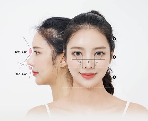 Golden ratio for female Asian noses Asian Nose Reference, Golden Ratio Face Women, Asian Nose Job, Korean Nose Job, Perfect Nose Shape, Tall Nose, Asian Nose, Korean Nose, Dream Nose