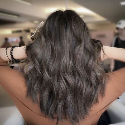 Soft Balayage On Light Brown Hair, All Over Mushroom Brown Hair Color, Mushroom Brown Ash Hair, Hair Color Ideas For Medium Hair, Super Ashy Brown Hair, Medium Brown Balayage Ashy, Medium Brown Ashy Hair, Fall Hair Color For Brunettes Ashy Brown, Dark Ash Brown Hair With Lowlights