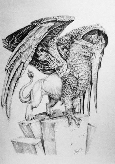 Hippogriff Tattoo, Griffin Painting, Griffon Tattoo, Gryphon Tattoo, Griffin Drawing, Love Finger Tattoo, Griffin Tattoo, Vikings Tattoo, Flower Wrist Tattoos