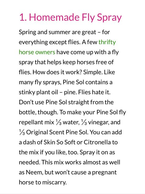 Pine Sol For Flies, Diy Fly Spray For Dogs, Pinesol For Flies, Horse Fly Spray Recipe Homemade, Homemade Fly Spray For Horses, Natural Fly Spray For Horses, Homemade Fly Spray, Skin So Soft Fly Spray For Horses, Diy Fly Trap