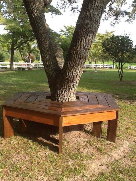 Around The Tree Bench, Round Tree Bench, Landscape Around Oak Tree, Tree Bench Wrap Around, Bench Around Tree Diy, Tree Surround Ideas, Seating Around Tree, Around Tree Bench, Bench Around Tree