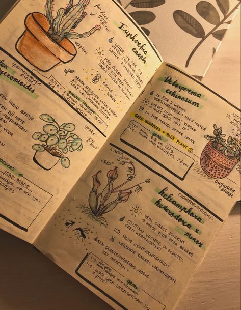 Plants Journal Ideas, Books On Plants, Nature Zine Design, Nature Notebook Ideas, Plant Notes Aesthetic, Plant Journal Aesthetic, Plant Diary Template, Taking Care Of Plants Aesthetic, Journal Ideas Plants