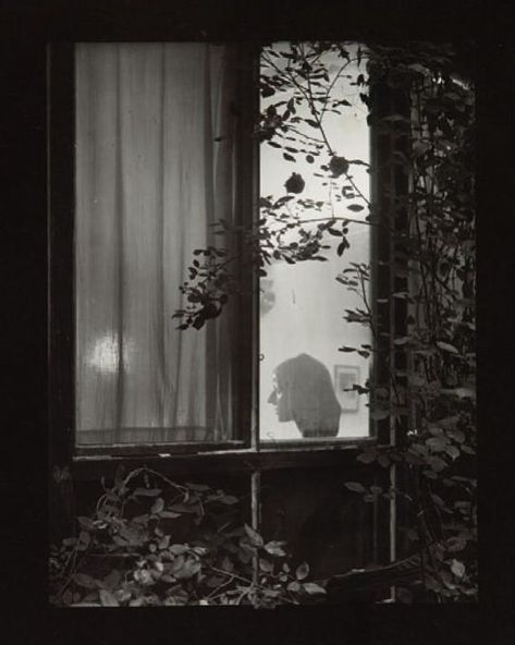 Joseph Sudek, Josef Sudek, August Sander, Robert Frank, Study Photography, Great Photographers, Jolie Photo, White Photo, Metropolis