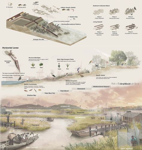 Landscape Architecture Presentation, Faculty Of Engineering, University Of Hong Kong, Landscape Architecture Diagram, Faculty Of Architecture, Presentation Board Design, Gordon Brown, Architectural Presentation, Japan Landscape