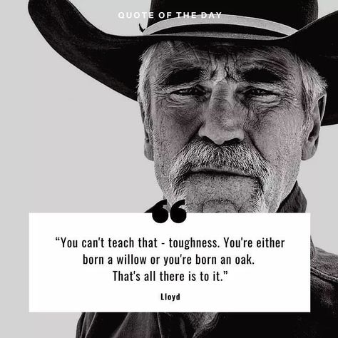 Yellowstone Lloyd, Beth Dutton Sayings, Western Movie Quotes, Rip Yellowstone Quotes, Yellowstone Quotes Show, Beth Dutton Yellowstone Quotes, Beth Dutton Quotes, Ranching Quotes, Yellowstone Quotes