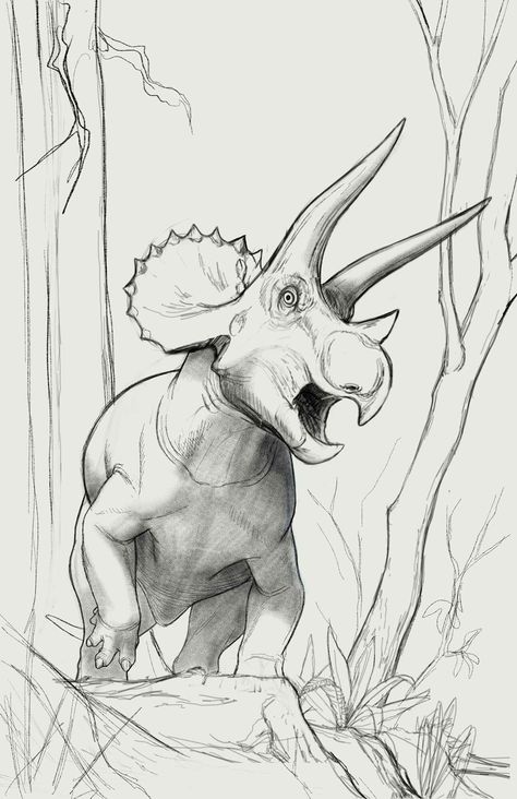 Triceratops Sketch, Draw Triceratops, Triceratops Drawing, Dino Sketch, Triceratops Art, Dinosaur Drawings, Dino Drawing, Mesozoic Era, Dinosaur Sketch