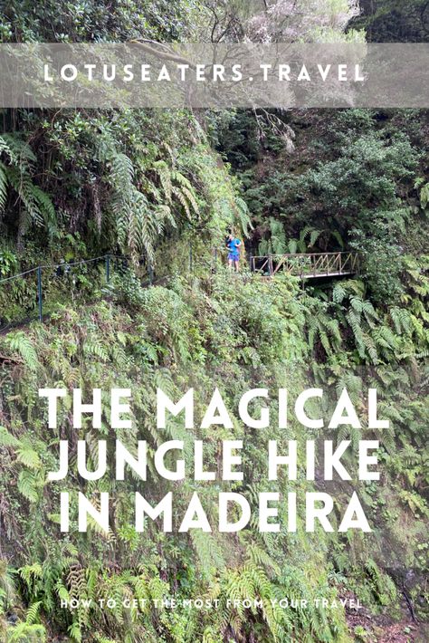 10 Best Hikes in Madeira: Beauty Beyond The Pico to Pico | LOTUS EATERS TRAVEL Madeira Hiking, Lotus Eaters, Jungle Hike, Types Of Hiking, Portugal Vacation, Funchal, Island Vacation, Best Hikes, Tropical Islands