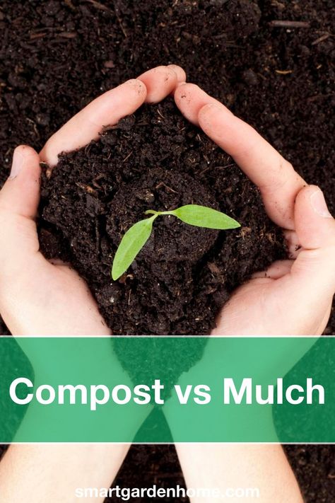 Compost Mulch, Straw Mulch, Types Of Mulch, Rubber Mulch, Soil Conditioner, Gardening Landscaping, Organic Mulch, Smart Garden, Clay Soil