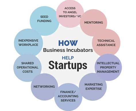 Business Incubator Design, Marketing Plan Infographic, Business Consultant Services, Makerspace Design, Roof Landscape, Business Incubator, Types Of Innovation, Business Strategy Management, Startup Incubator