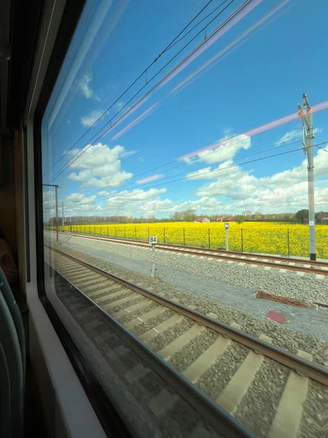 #train #travel #flower #view View From Train Window, Pakistan View, Train View, Train Window, Train Travel, View Photos, Pakistan, Train, Travel