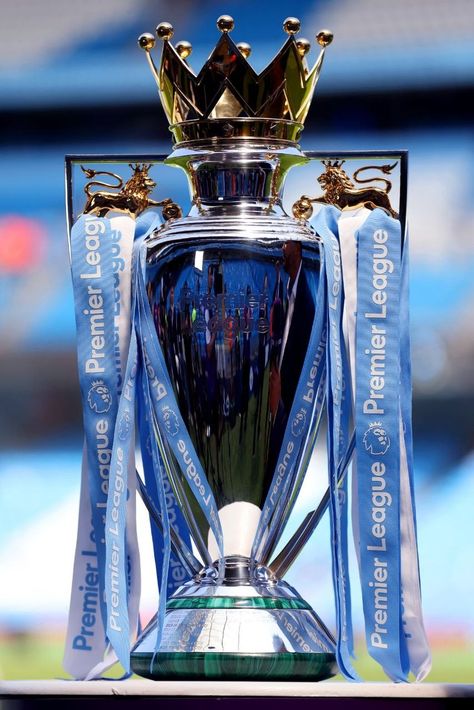 Premier League Trophy, Fifa Card, Merseyside Derby, Soccer Trophy, Football Trophy, Champions League Trophy, Trophy Collection, Football Champions, Sports Trophies