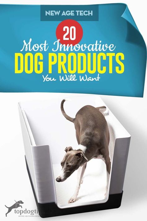 Dog Gadgets, Survival Gardening, Urban Survival, Dog Products, New Dog, Come And Go, Garden Styles, Dog Supplies, Urban Garden