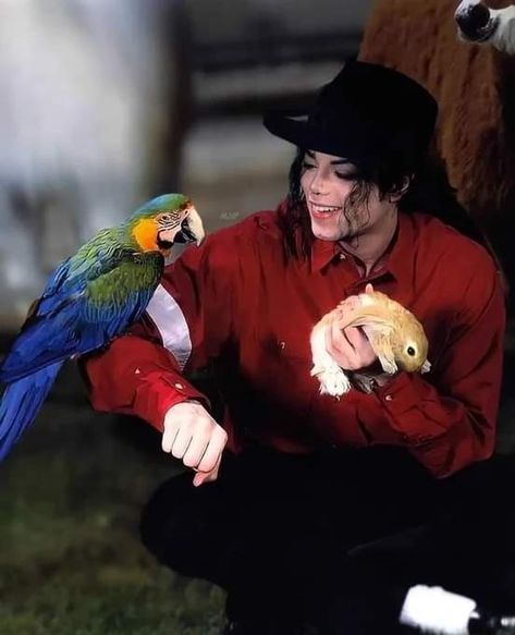 Michael Jackson Neverland, Michael Jackson Bad Era, Michael Jackson Dangerous, Michael Jackson Funny, Michael Jackson Wallpaper, Different Animals, Photos Of Michael Jackson, Black Couple Art, Michael Jackson Smile