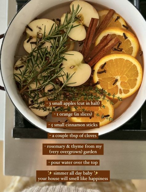 Simple Potpourri Recipes, Simmer Pot Benefits, Home Simmer Pot, Thanksgiving Simmer Pot, Simmer Pot Recipes House Smells Fall, Christmas Smelling Pot, Autumn Popurri, Fall Scent Pot On Stove, Holiday Smells Stove