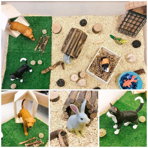 Animal Activities For Kids, Pets Preschool Theme, Baby Learning Activities, Tuff Tray, Family Theme, Pet Vet, Sand Table, Tray Ideas, Sensory Table