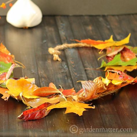 8 DIY Craft Ideas Using Fall Leaves Diy Bottle Cap Crafts, Hanging Centerpiece, Scented Pinecones, Small Pine Cones, Autumn Leaves Craft, Fall Pumpkin Crafts, Fall Leaf Garland, Manor Farm, Real Leaves