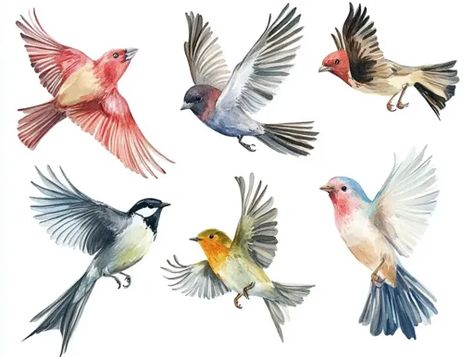 ↑↑↑ Larger size on website 🔸 The image depicts six watercolor birds in various poses against a white background. The birds are al Watercolour Bird, Birds Watercolor, Watercolor Birds, Flying Birds, Colorful Watercolor, Watercolor Bird, In Flight, The Birds, Birds In Flight