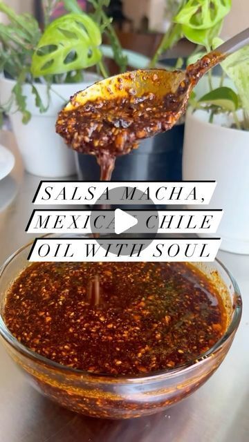 Familia Kitchen on Instagram: "@vivis_table is an expert at making #Mexican red salsas and green salsas, but she had never heard of salsa macha. 🌶️   Visiting her Abuelita in Michoacan years ago, she first tasted this salsa made with ground seeds, nuts, chiles and oil, and “immediately fell in love,” she says.   Watch her make legendary, simple salsa macha. And hit out link in bio to go to our website and get all the details to make this yourself! #recipe #salsa #sauce #mexicanfood #mexicansalsa #receta" Macha Salsa Recipe, Salsa Matcha Recipe, Salsa Macha Recipe, Salsa Macha Receta, Simple Salsa, Steven Raichlen, Salsa Sauce, Mexican Salsa, Easy Salsa