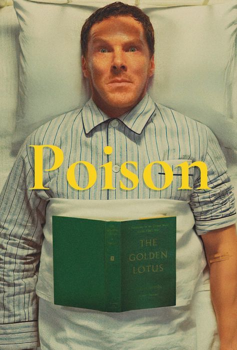 Wes Anderson Poster, Poisonous Snakes, Ben Kingsley, Wes Anderson Movies, Wes Anderson Films, Ralph Fiennes, Netflix Streaming, Wes Anderson, Movie Titles