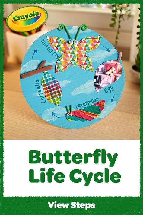 Butterfly Cycle, Butterfly Craft For Kids, Butterfly Life Cycle Craft, Life Cycle Of A Butterfly, Cycle Of A Butterfly, Cycle Art, Life Cycle Craft, Butterfly Craft, Science Crafts