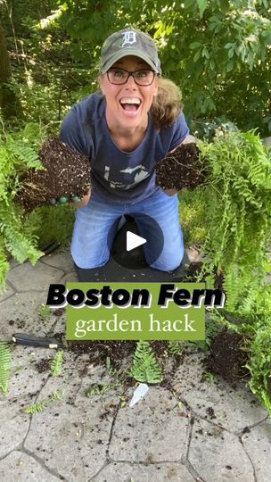 527K views · 2.8K reactions | Boston Fern Garden HACK!!  🌿 A dear friend and avid gardener taught me this years ago. 🌿 I think it’s one of my favorite gardening tricks!  🌿 Doing this fun garden hack will you give you a lot of bang for your buck!!  🌿 FIVE easy steps to follow for Boston Fern Garden Hack: 1️⃣ Remove basket hook: 🌿 Cut off or remove the hanging basket - hook.  You can save the basket for future use.  2️⃣ Remove the fern from the pot:  🌿 The fern is likely root bound within the pot. Tapping the bottom of the pot helps the fern to come loose from it’s pot. 3️⃣ Divide: 🌿 Every time I do this I get a little squeamish. Something about cutting up a beautiful fern doesn't seem right.  But, I have been doing this for over 10 years and haven’t had a failure with this process ye Hanging Basket Hooks, Boston Fern, Ferns Garden, Cut Up, Beautiful Outdoor Spaces, Front Porch Decorating, Hanging Baskets, Dear Friend, Easy Step