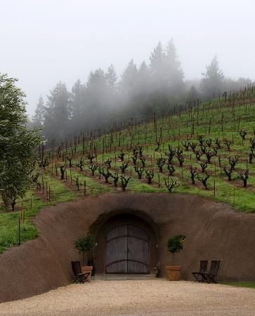 Barolo Wine, Sonoma Wineries, California Winery, Virginia Wineries, Wine Cave, Sonoma Wine Country, Wine Vineyards, Toscana Italia, Sonoma Valley