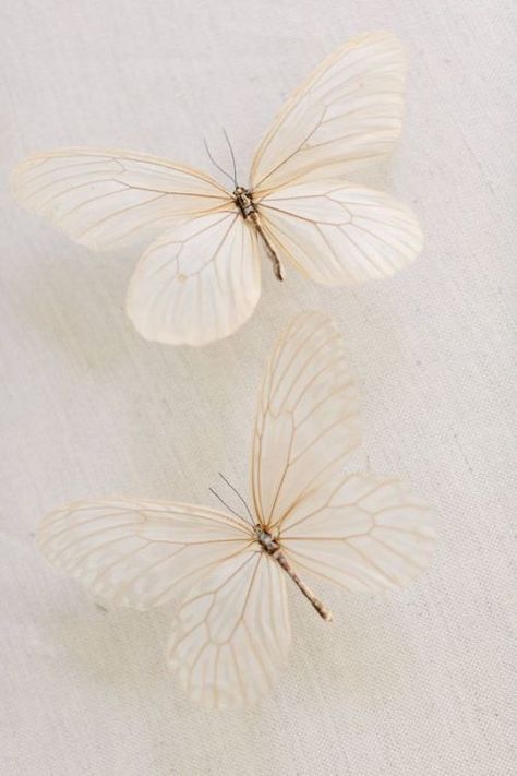 White Sands New Mexico, Carol Hannah, White Butterflies, New Mexico Wedding, Cream Aesthetic, Butterfly Theme, Pastel Pink Aesthetic, Stunning Gowns, Phone Wallpaper Images