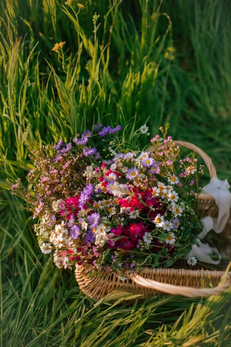 Spring, wild flowers, bouquet, picnic basket, flower bouquet, spring aesthetic, grass field Spring Flower Basket, Forest Flower Bouquet, Picnic Basket With Flowers, Basket Bouquet Wedding, Wild Flower Field Aesthetic, Wild Flower Bouquet Aesthetic, Picking Flowers Aesthetic, Flower Basket Aesthetic, Flower Picking Aesthetic