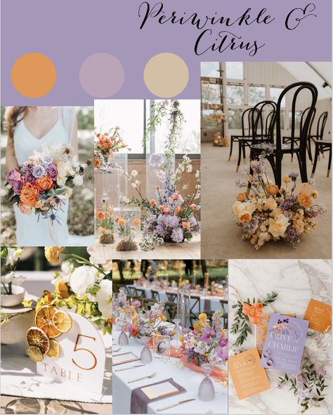 Lavender And Tangerine Wedding, Violet Wedding Decorations, Orange Lilac Color Palette, Lavender And Orange Wedding Theme, Rust And Lilac Wedding, Lavender Color Palette Wedding, Light Purple And Orange Wedding, Purple And Orange Wedding Ideas, Orange And Lavender Wedding