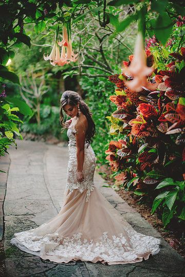 Photo from Saya   Rob | Sunken Gardens | St. Petersburg, FL collection by Jason Mize Photography Sunken Gardens St Petersburg, Sunken Gardens Wedding, Sunken Gardens, Tampa Wedding Venue, Private Estate Wedding, Destin Florida Wedding, Sunken Garden, St Petersburg Fl, Tampa Wedding