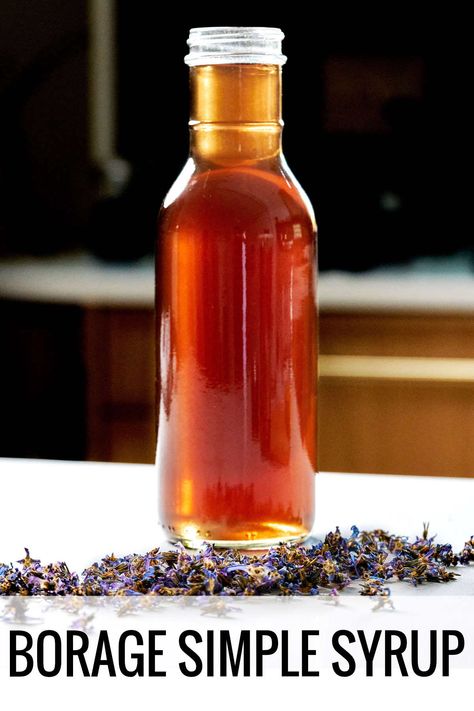 A simple syrup recipe with flavor notes from the borage plant flowers. Think a mild sweet flavor like honey, with a crisp freshness. Infused Syrup Recipe, Herbal Syrup Recipe, Borage Recipe, Simple Syrup Infusions, Basil Infused Simple Syrup, Tea Infused Simple Syrup, Infused Syrups, Herb Simple Syrup, Borage Plant