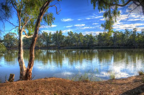 Gibb River Road, Australia Landscape, Gum Trees, Australian Painting, Murray River, Australian Landscape, River Painting, Outback Australia, Fire Photography