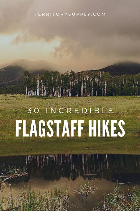 Hikes In Flagstaff Az, Flagstaff Hikes, Arizona Hikes, Arizona Adventure, Arizona Vacation, Visit Arizona, Arizona Road Trip, Flagstaff Arizona, Arizona Hiking