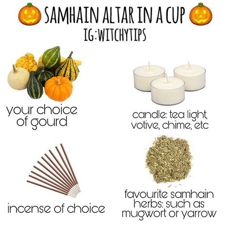 Tips for Witches Everywhere! ✨ on Instagram: “A very simple altar in a cup (gourd) for Samhain! By carving the gourd you are incorporating ancient Samhain traditions as well as using…” Witchytips Instagram, Simple Altar, Create An Altar, Celebrate Samhain, Samhain Traditions, Samhain Altar, Samhain Ritual, Wiccan Sabbats, Witch Board