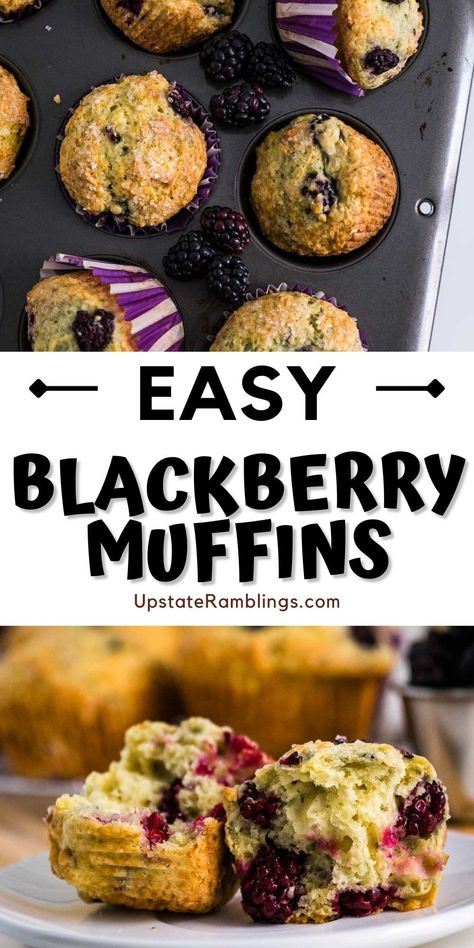 Whip up a batch of homemade Blackberry Muffins that are easy to make and irresistible! Tender and bursting with juicy blackberries, these muffins are perfect anytime. Blackberry Bread Recipes Easy, Blackberry Muffins Healthy Greek Yogurt, Easy Blackberry Muffins Recipes, What To Make With Fresh Blackberries, Blueberry Blackberry Recipes, Banana Blackberry Muffins, Blackberry Recipes Easy Simple, Lemon Blackberry Muffins, Blackberry Bread Recipe