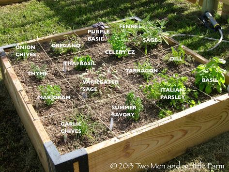 Popular Herb Garden Design Ideas for Small Spaces Raised Bed Herb Garden, Raised Bed Garden Layout, Raised Herb Garden, Backyard Herb Garden, Square Foot Gardening Layout, Garden Bed Layout, Small Herb Gardens, Outdoor Herb Garden, Raised Bed Garden Design