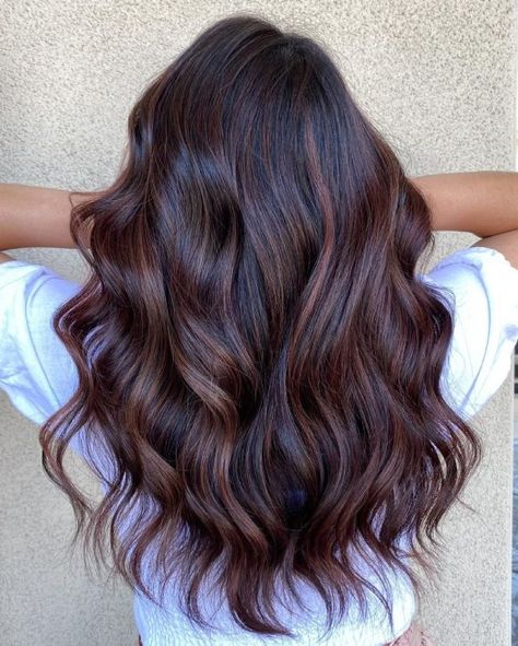 Colour For Black Hair, Hair Colour For Black Hair, Global Hair Colour, Brown Hair Trends, Global Hair, Beige Hair, Cute Hair Colors, Hair Color Caramel, Red Brown Hair