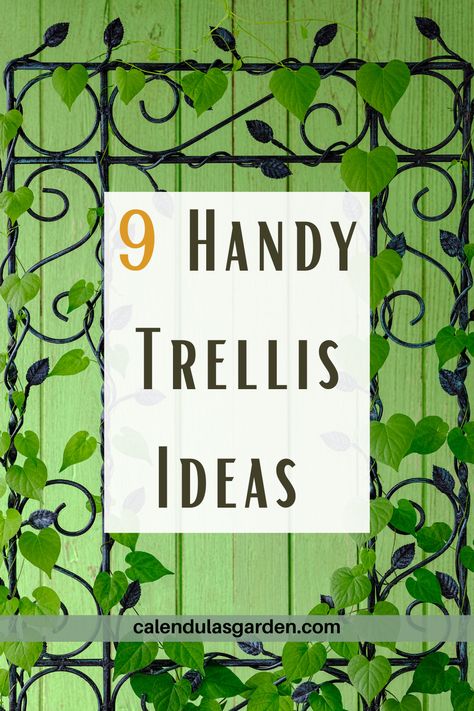 One way to enhance the look of your garden is by installing trellises for your plants. Trellises are not only functional, but they can also add some visual interest to your outdoor space. If you’re looking for a few creative trellis ideas for your garden, you’re in the right place. We’ve rounded up some of the best trellis ideas that will level up the look of your garden. Using Trellises In The Garden, Japanese Trellis Ideas, Trellis Ideas Front Of House, Diy Clematis Trellis Ideas, Honeysuckle Trellis Ideas, Unique Trellis Ideas, Diy Garden Arch Trellis, Wall Trellis Ideas, Trellis Ideas Diy Climbing Vines