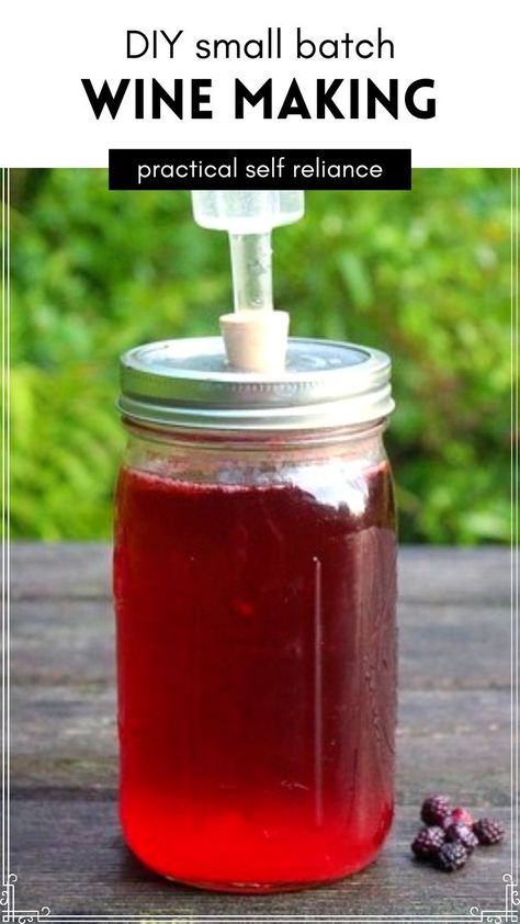 How To Make Wine From Grapes, Making Wine From Grapes, Wine Making Recipes, Homemade Wine Recipes, Mead Wine, Muscadine Wine, Mead Recipe, Dandelion Wine, Wine Yeast