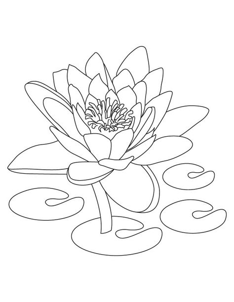 free Lotus Coloring Page Lotus Flower Coloring Pages, Lotus Flower Colors, Lotus Flower Drawing, Printable Flowers, Color Clipart, Leaf Coloring Page, Water Kids, Lotus Flower Mandala, White Lotus Flower