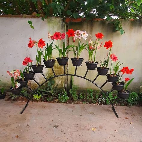 Plant Iron Stand, Pot Stands Outdoor, Flower Stand Ideas Outdoor, Outdoor Metal Plant Stands, Red Flowers Garden, Plant Stand Outdoor, Iron Plant Stand, نباتات منزلية, Plant Stands Outdoor