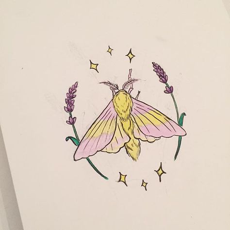 Currently obsessed with Dryocampa Rubicunda. Can't believe something that cute can be real. Moth Artwork, Olivia Harrison, Maple Moth, Moth Drawing, Moth Tattoo Design, Rosy Maple Moth, Cute Moth, Manga Tattoo, Moth Art