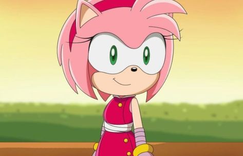 Sonic The Hedgehog Halloween, Sonic X, Shadow And Amy, Amy The Hedgehog, Sonic Franchise, Sonic Adventure, Rose Pictures, Pfp Ideas, Sonic Fan Art