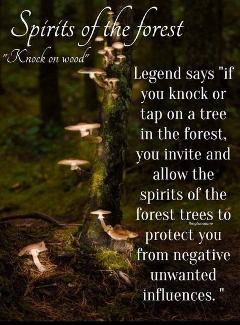 Forest Quotes, Witch Quotes, Witch Spirituality, Herbal Magic, Practical Magic, Magic Spells, Spirituality Energy, Nature Quotes, Spell Book