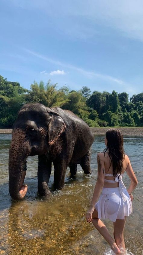 Wildlife Biology, Bali Honeymoon, Voyage Bali, Travel Pose, Thailand Adventure, Backpacking Asia, Elephant Sanctuary, Coastal Life, Chiang Mai Thailand